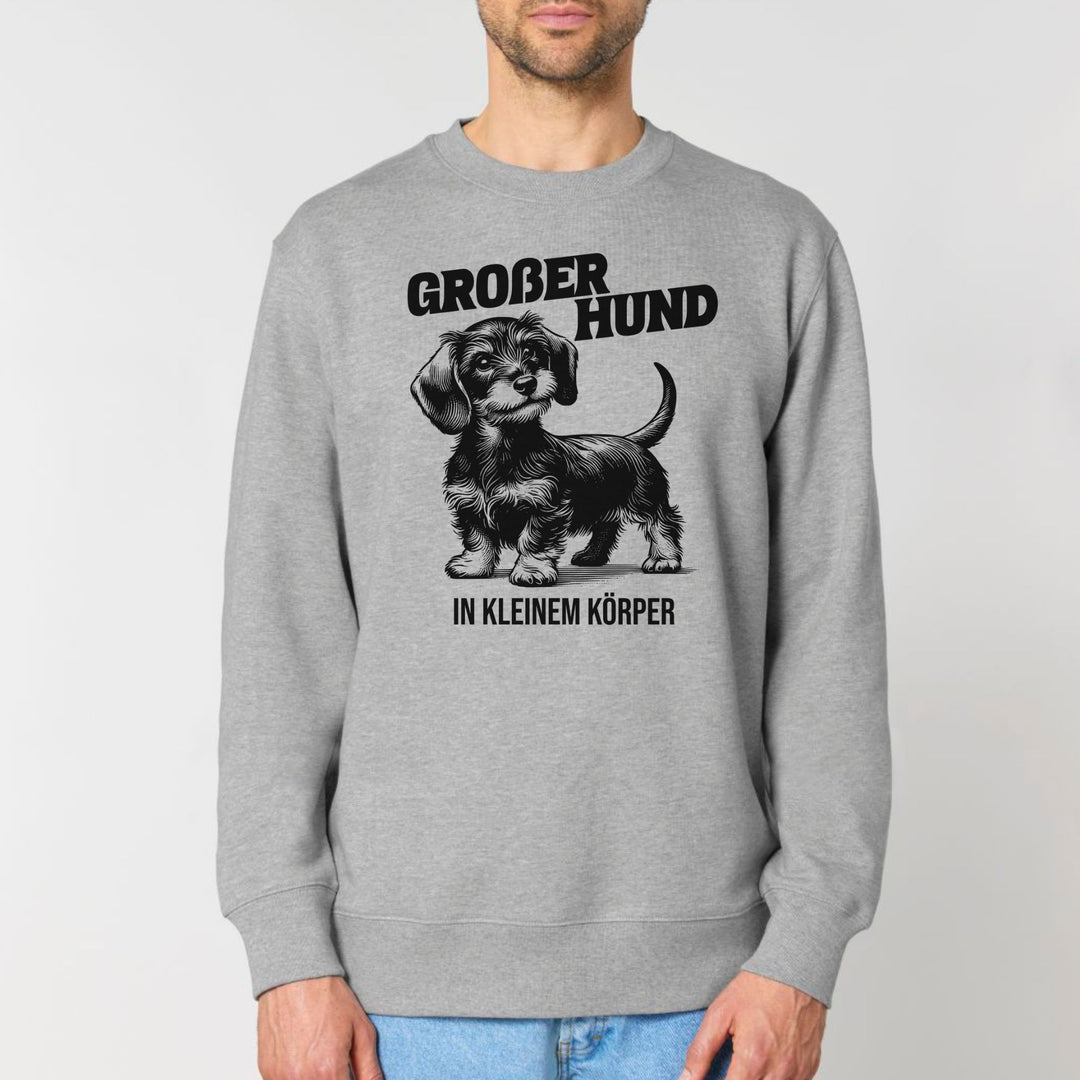 Großer Hund (Rauhaar) - Bio Unisex Sweatshirt