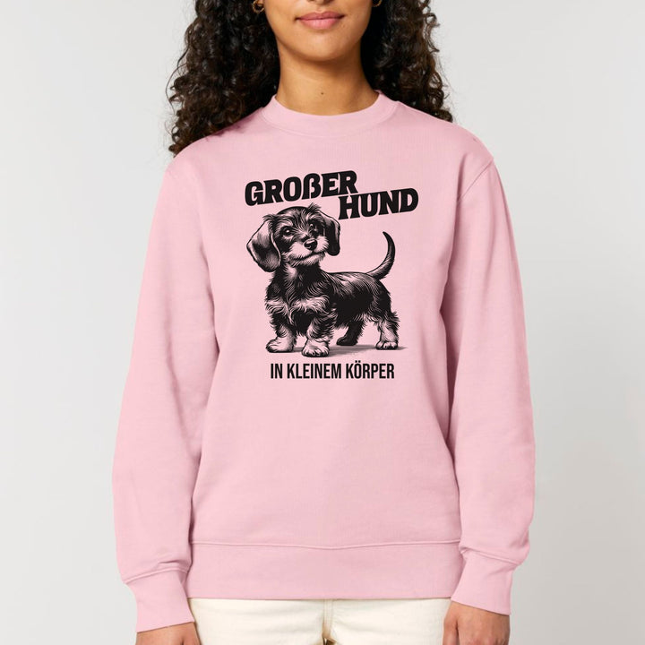 Großer Hund (Rauhaar) - Bio Unisex Sweatshirt