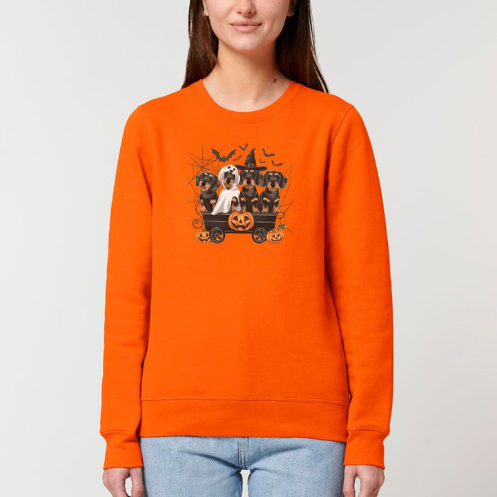 Halloween Dackel (Rauhaar) - Bio Unisex Sweatshirt