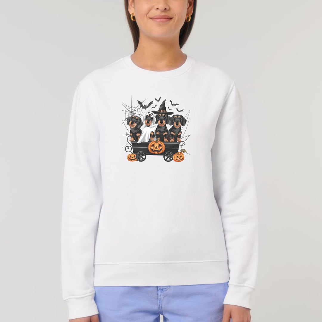 Halloween Dackel (Rauhaar) - Bio Unisex Sweatshirt